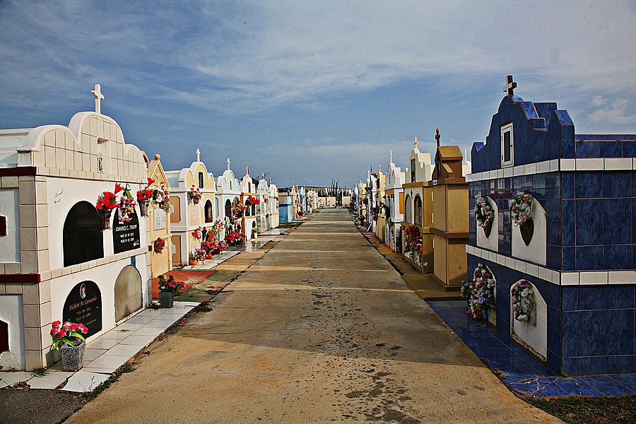 Aruba Cemetery Digital Art by Carrie OBrien Sibley