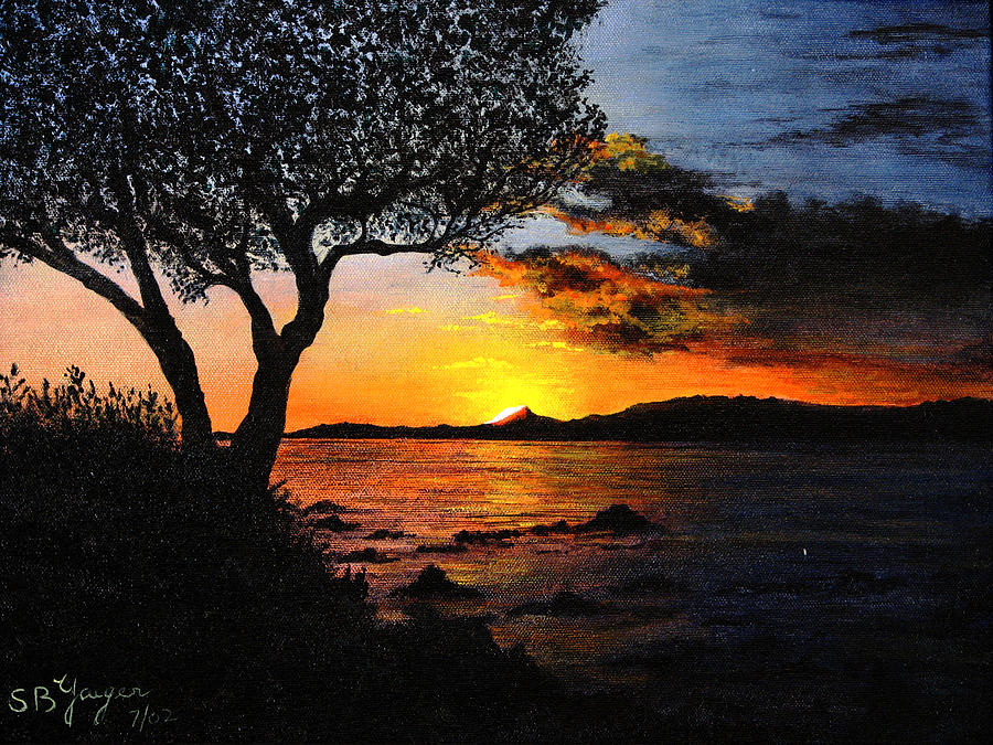Aruba Sunset Painting by Stuart B Yaeger