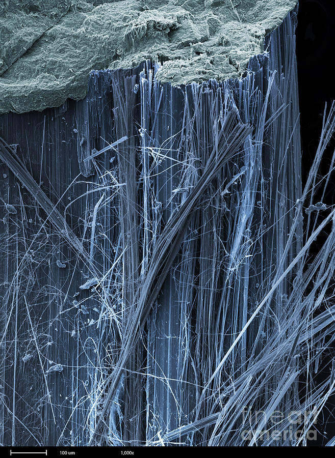 Asbestos, Sem Photograph by Ted Kinsman
