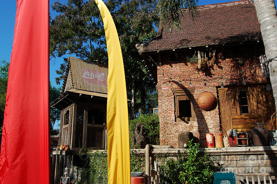Asia Theming and Flags at Animal Kingdom Walt Disney World Prints Photograph by Shawn OBrien