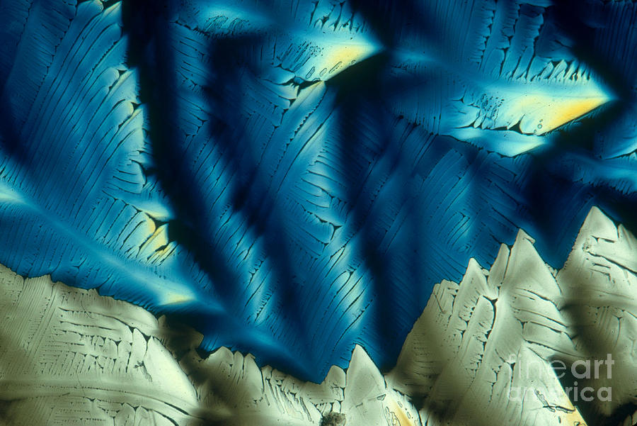 Light Micrograph Photograph - Asparagine by M. I. Walker