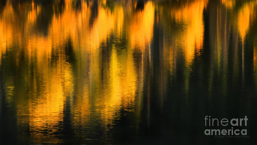 Aspen Reflections Photograph by Clare VanderVeen