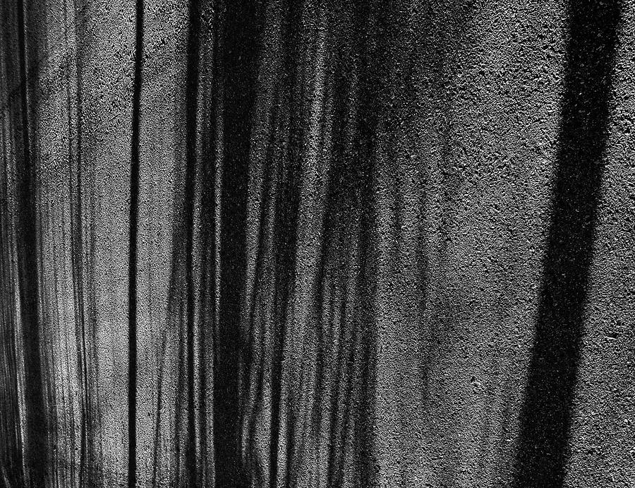 Aspen Shadows Photograph by Atom Crawford Aspen Shadows Photograph by Atom Crawford