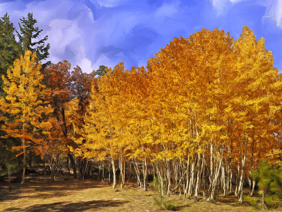 Aspen Trees in Autumn Painting by Dominic Piperata Fine Art America