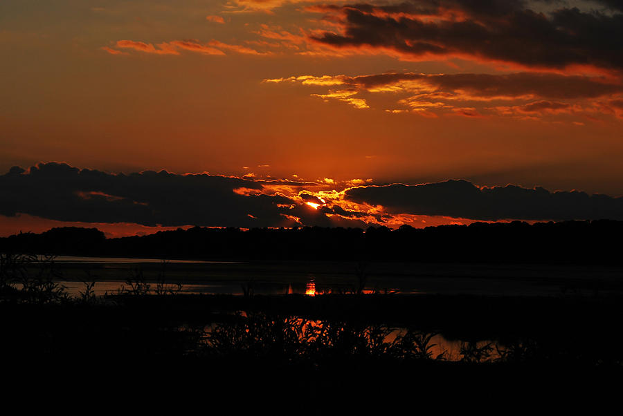 Assateague Sunset Photograph by Lori Tambakis