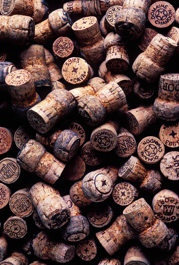 Assorted champagne corks Photograph by Garry Gay
