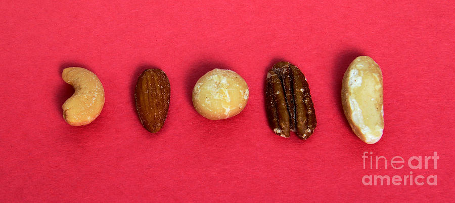 Assorted Nuts Photograph by Photo Researchers, Inc.