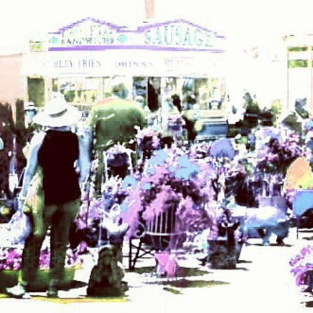 Impressionism Photograph - At The Antique Show 4 #vintage by Marianne Dow