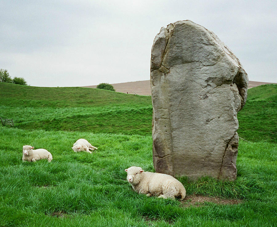 At the Avebury Stones Photograph by Marilyn Wilson