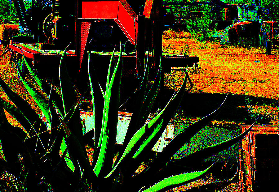 At The Scrapyard by Louis Nugent At The Scrapyard by Louis Nugent