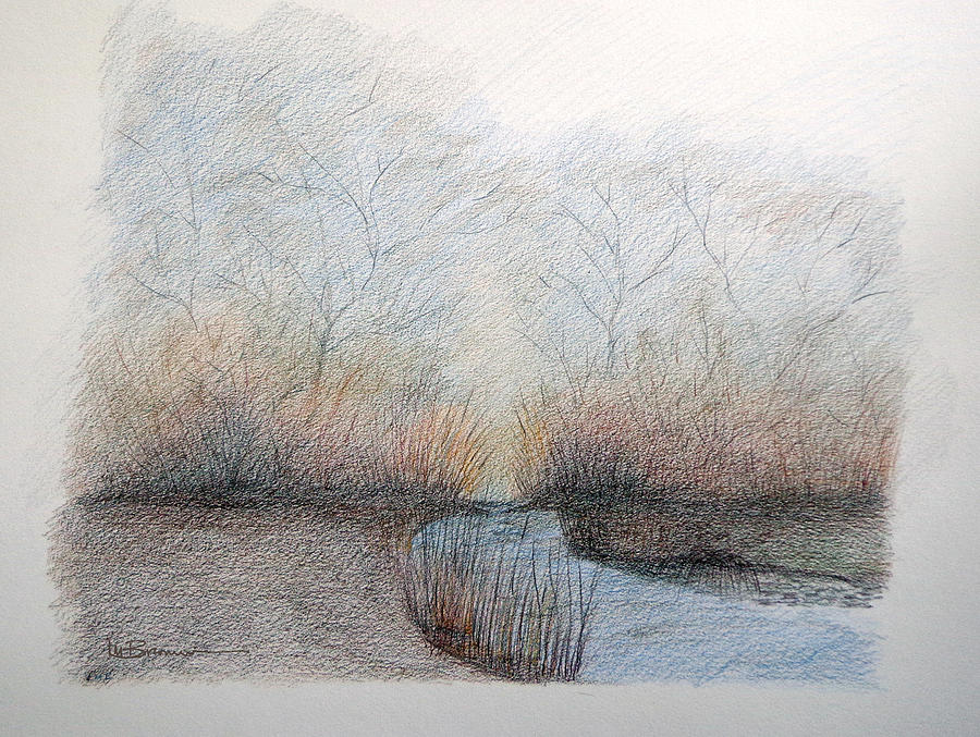 At the Woodline Drawing by Leslie M Browning