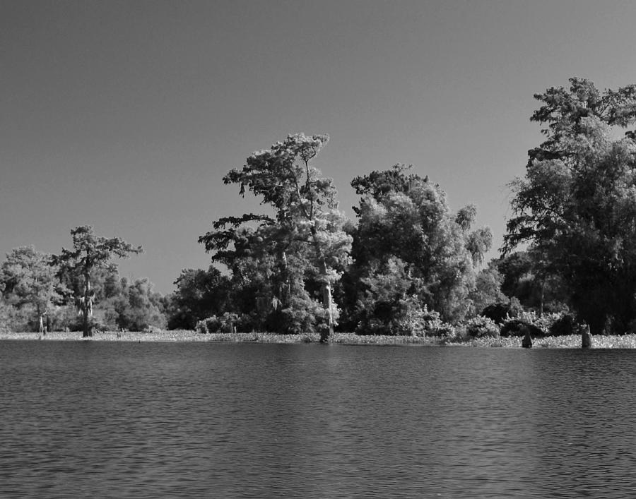 Atchafalaya Basin 28 Southern Louisiana Photograph by Maggy Marsh