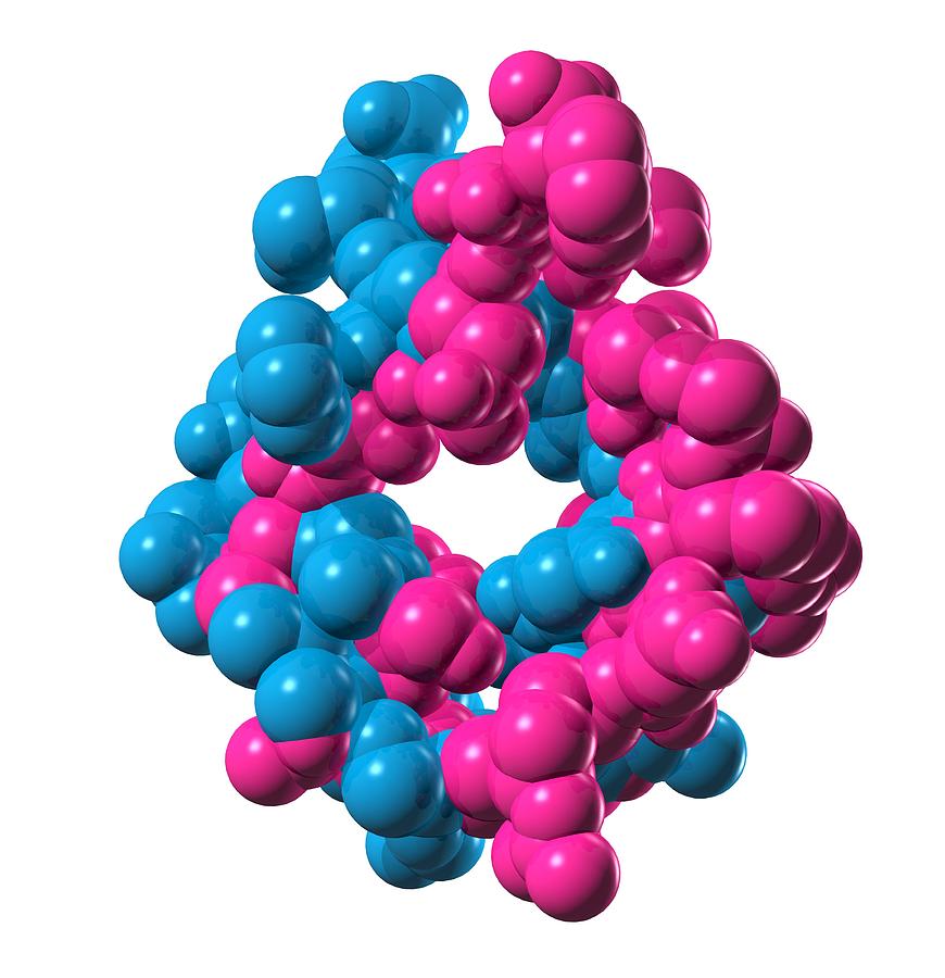 Atrial Natriuretic Peptide Molecule by Laguna Design