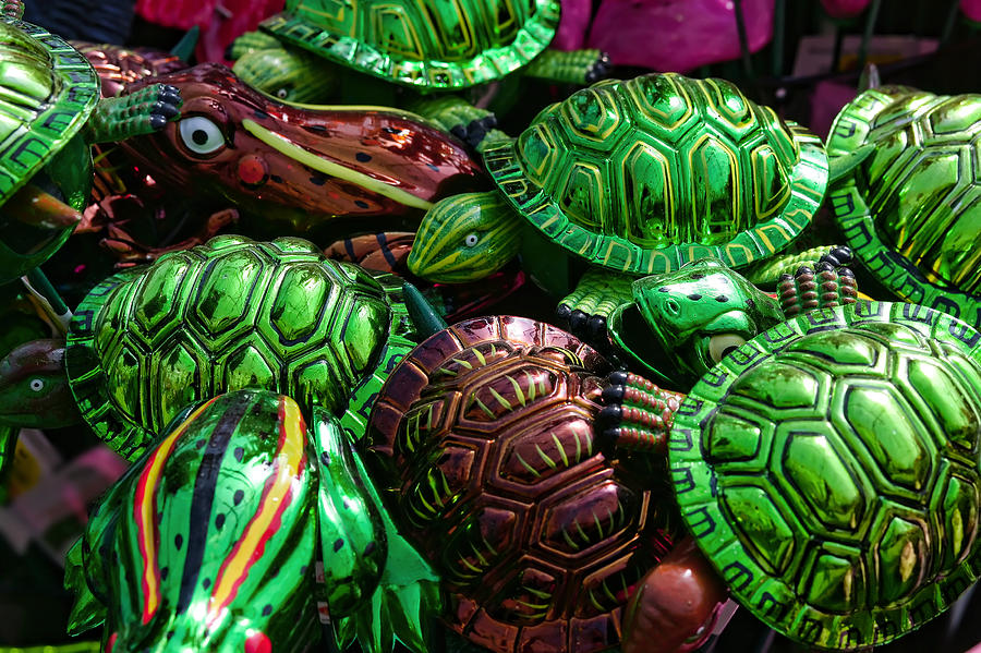 Attack of the Turtles and Frogs Photograph by Gordon Dean II