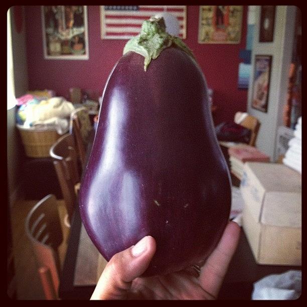 Aubergine In The Hand Is Worth 6 On The Vine... Photograph by Gracie Noodlestein