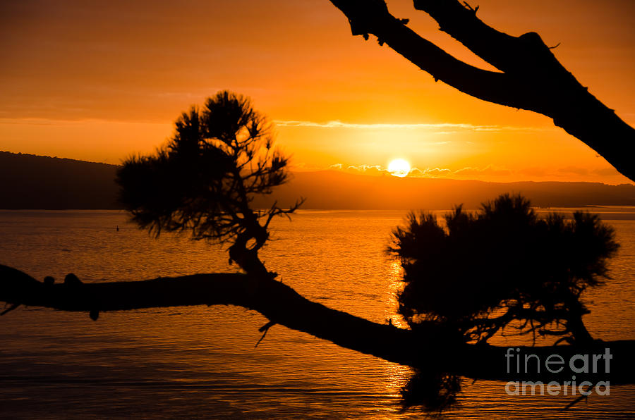 Auckland Sunrise Photograph by Yurix Sardinelly