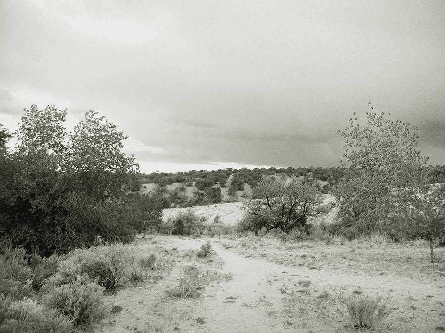 August Desert II - black and white Photograph by Kathleen Grace