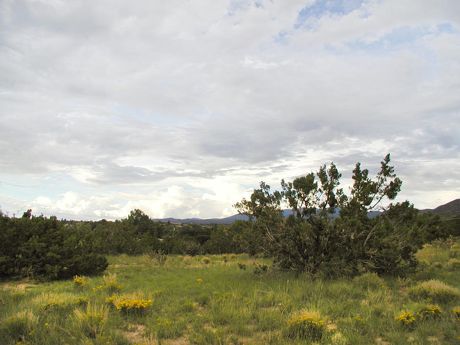 August Desert Photograph by Kathleen Grace