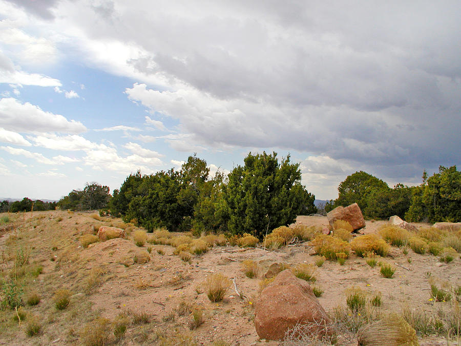 August Desertscape Photograph by Kathleen Grace