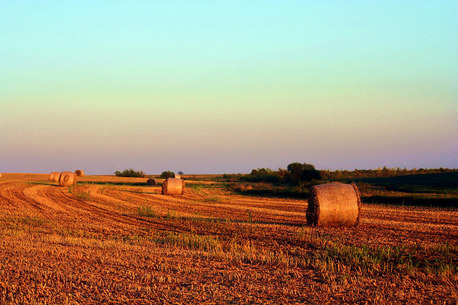 August Harvest Photograph by Laurel Gillespie - Fine Art America