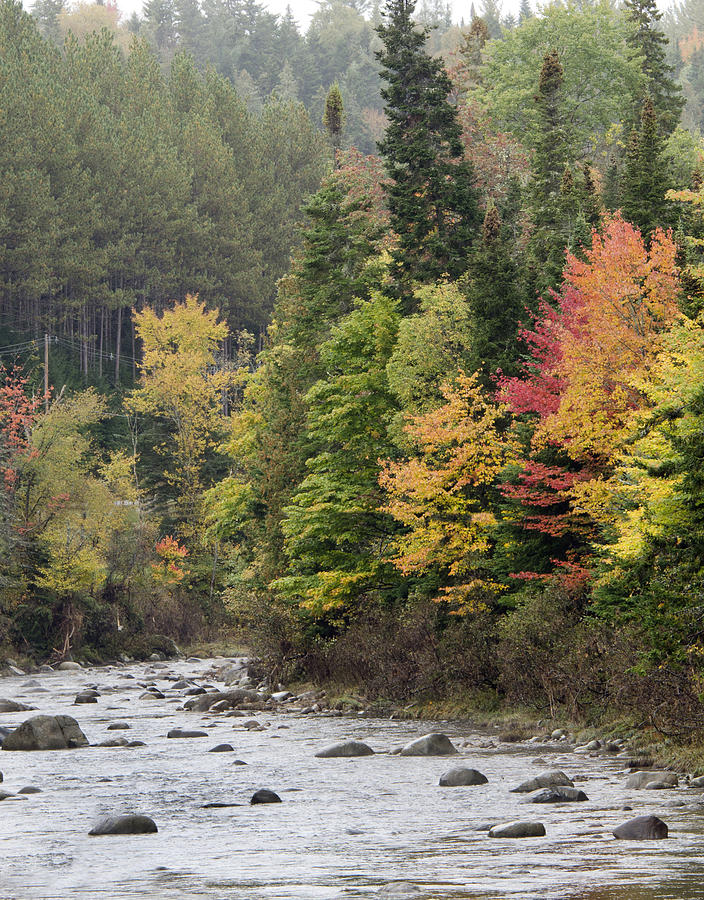 AuSable River near Lake Placid - New York Photograph by Brendan Reals