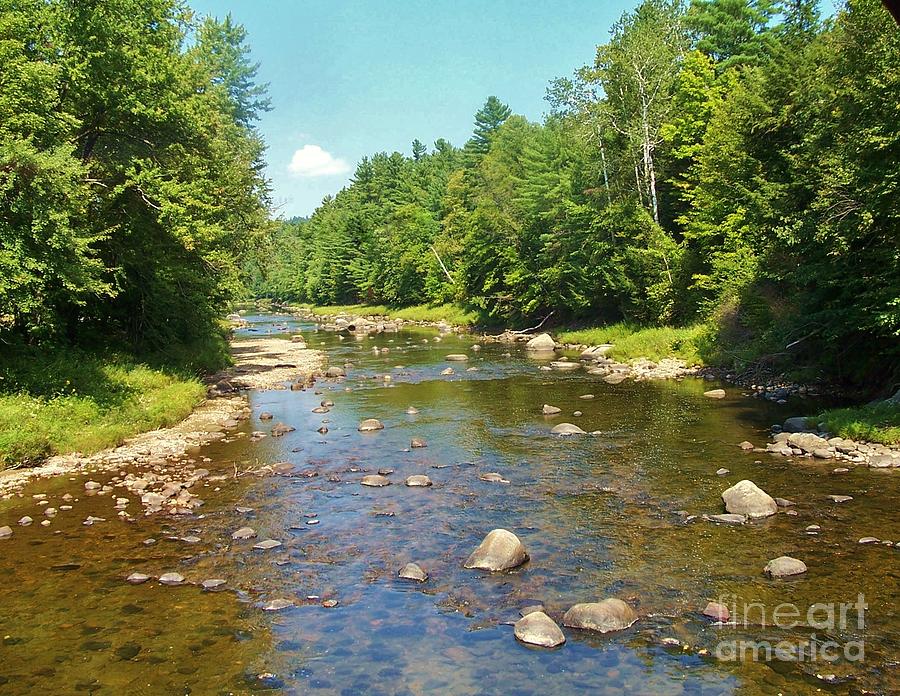 AuSable Summer Photograph by Peggy Miller