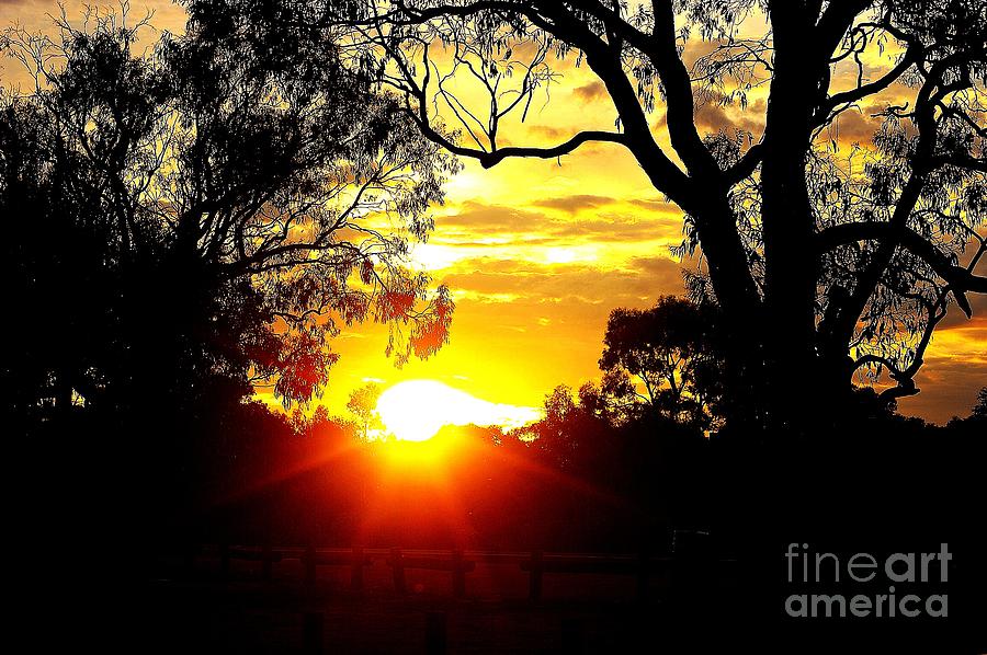 Aussie Sunset Photograph by Blair Stuart