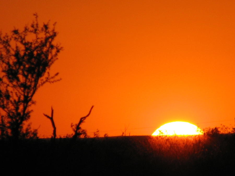 Austin Texas Burnt Orange Sunset Photograph by Shawn Hughes