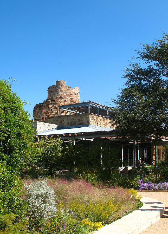 Austin Texas Wildflower Center 2 Photograph by Connie Fox