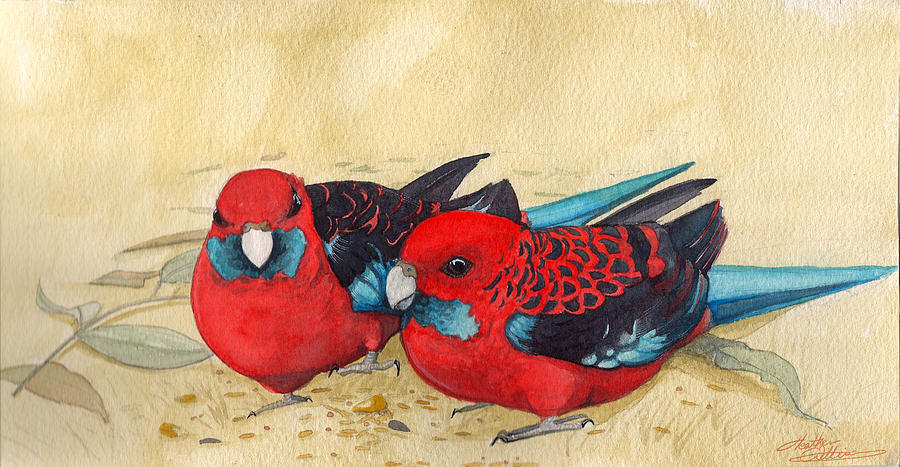 Australian Rosellas Painting By H Williams - Fine Art America