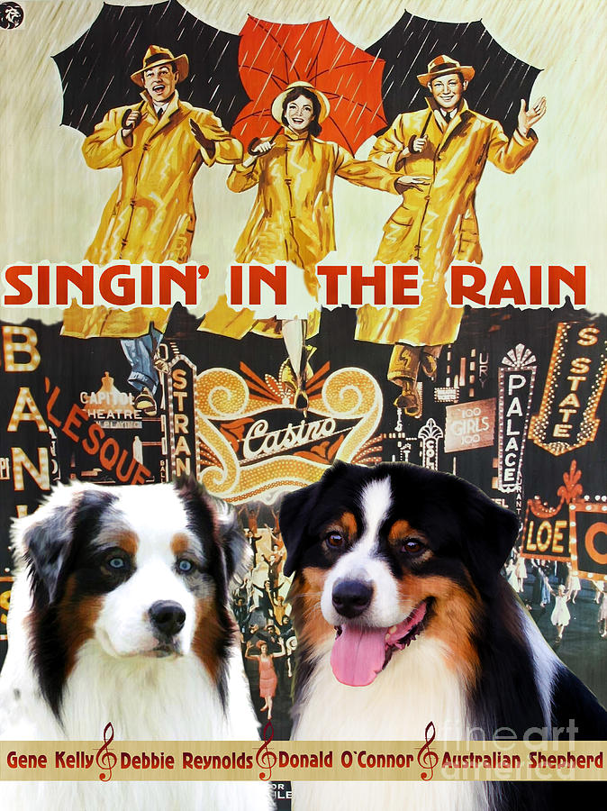 Dog Painting - Australian Shepherd - Singin in the Rain Movie Poster by Sandra Sij