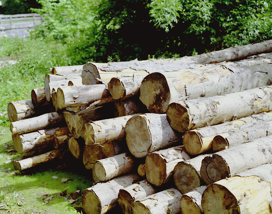 Logs Photograph - Austrian Log Stack by John Bowers