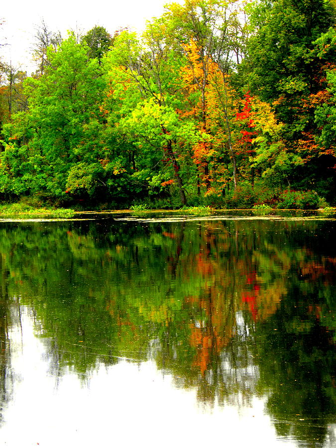 Autumm Colors Photograph by Karen Fifelski - Fine Art America