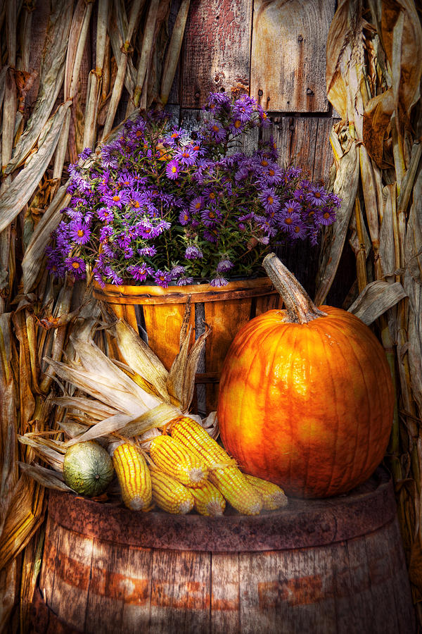 Fall Photograph - Autumn - Autumn is festive  by Mike Savad