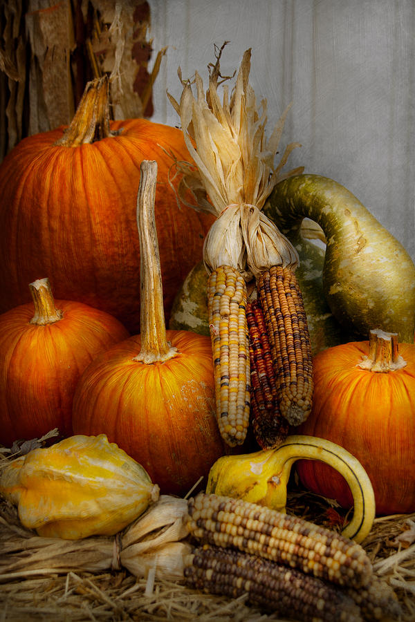 Autumn - Gourd - Pumpkins and Maize  Photograph by Mike Savad
