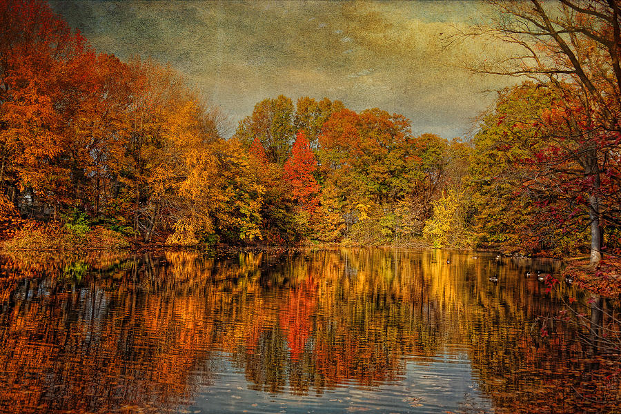Autumn - Landscape - Tamaques Park - Autumn in Westfield NJ  Photograph by Mike Savad