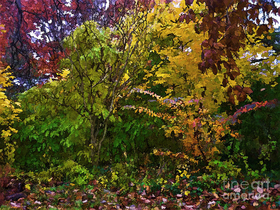 Autumn 9 Photograph by Jeff Breiman