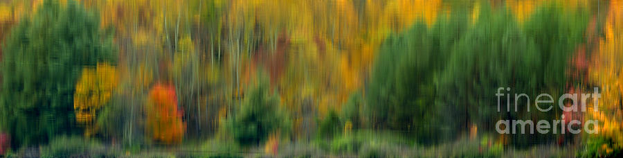 Autumn Abstract Big Ditch Lake Photograph by Thomas R Fletcher