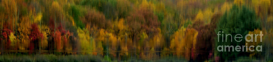 Autumn Abstract Photograph by Thomas R Fletcher
