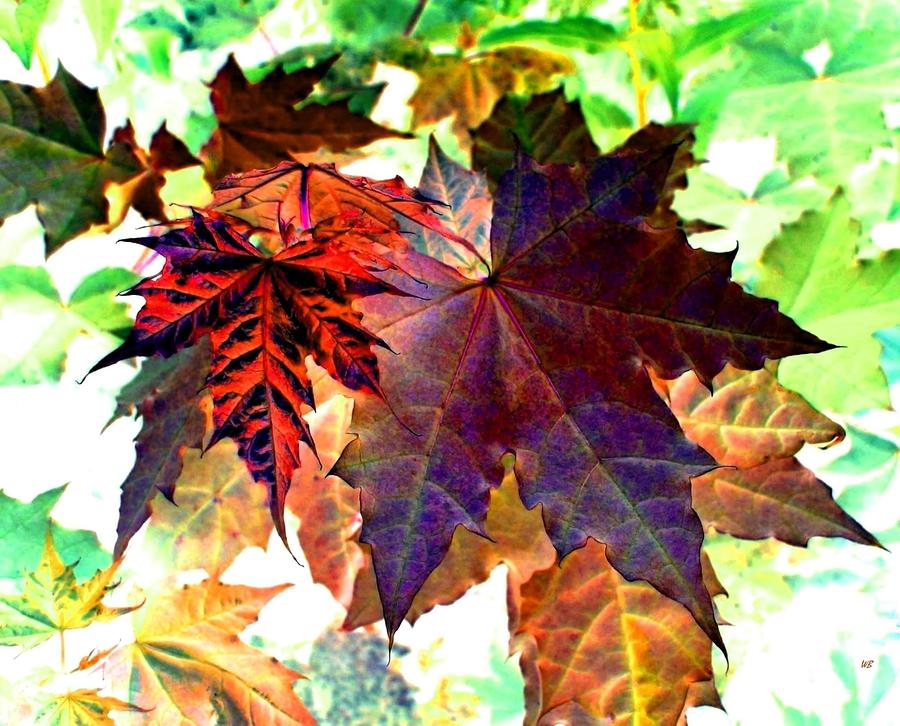 Autumn Ambiance Digital Art by Will Borden