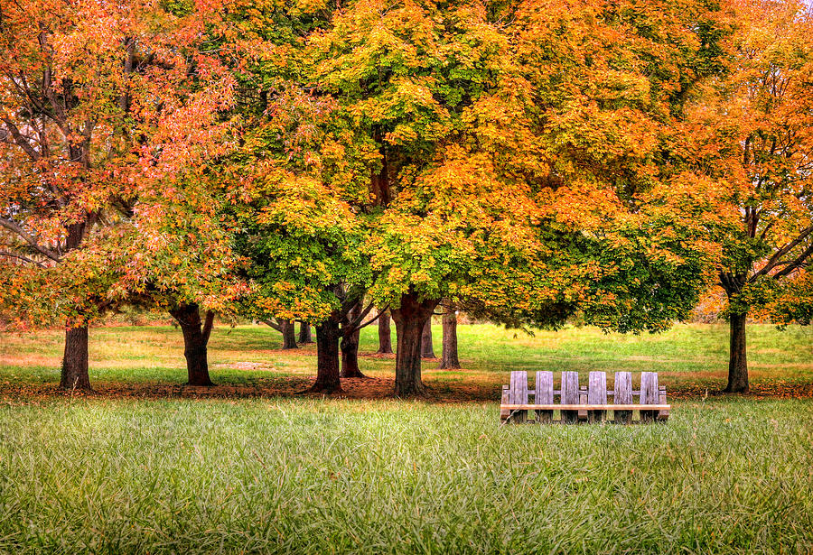 Autumn And A Bench Photograph by Pat Abbott
