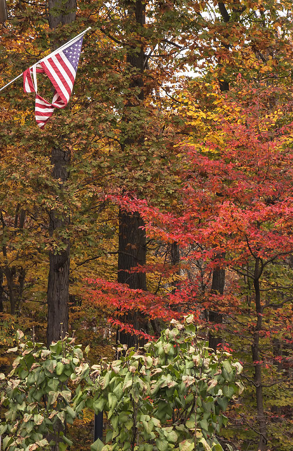 Autumn and the Flag Photograph by Tom Singleton