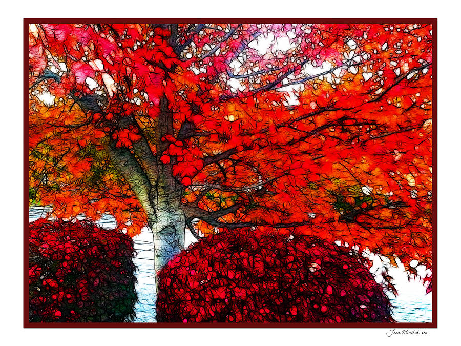 Autumn And The Red Tree Photograph