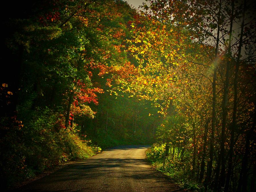 Autumn Arch Photograph by Joyce Kimble Smith - Fine Art America