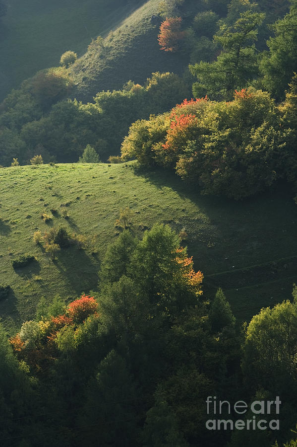 Autumn Arrival Photograph by Alex Rowbotham | Fine Art America