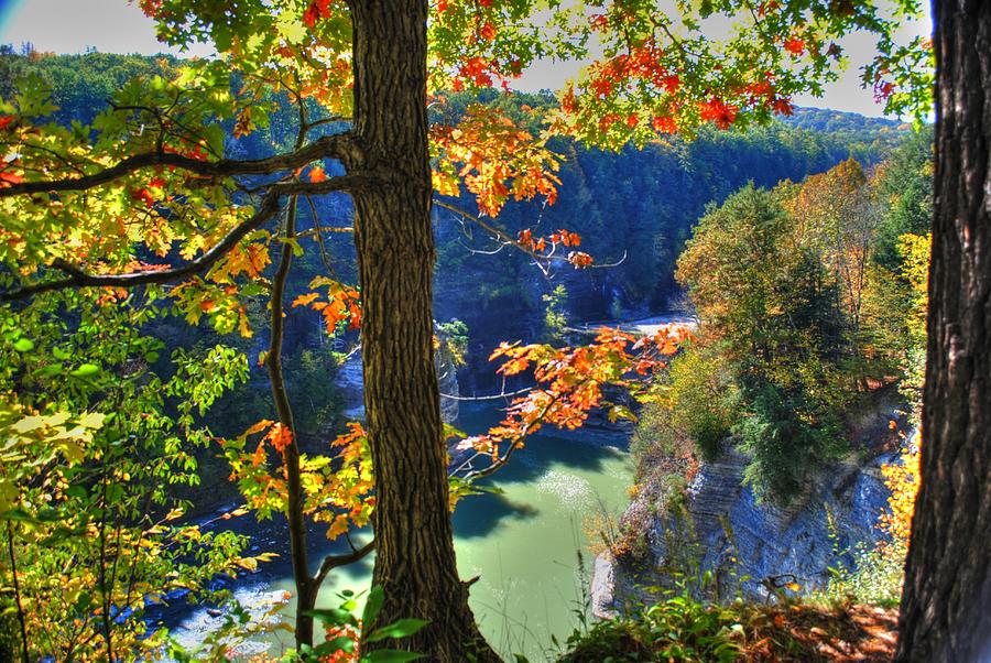 Autumn At Letchworth State Park Photograph by Michael Frank Jr