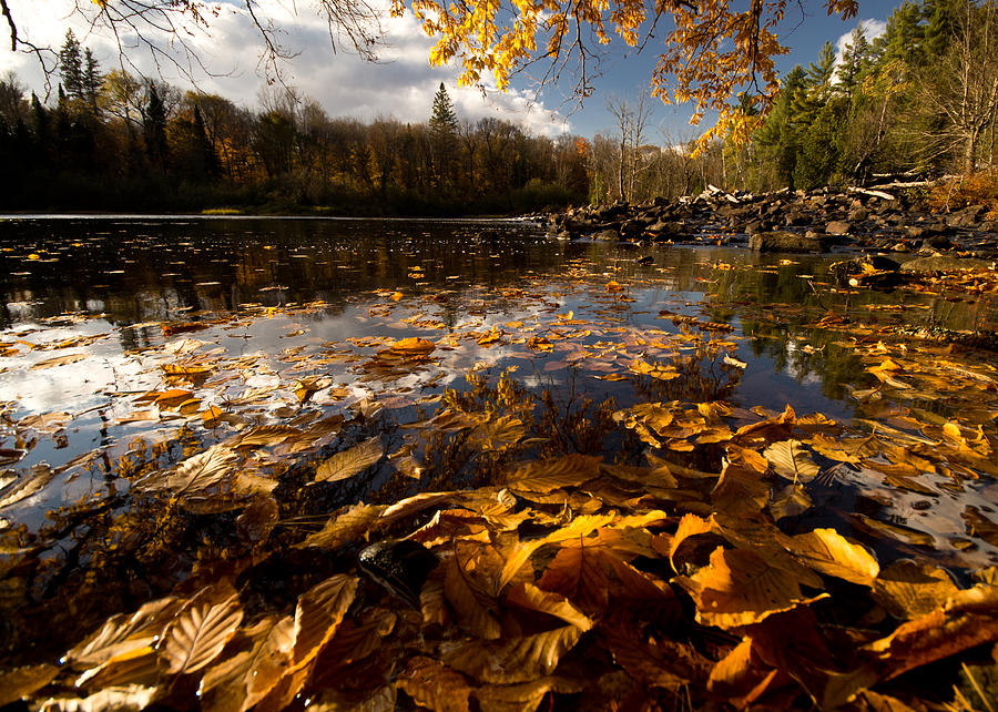 Fall Photograph - Autumn at Ragged Falls by Cale Best