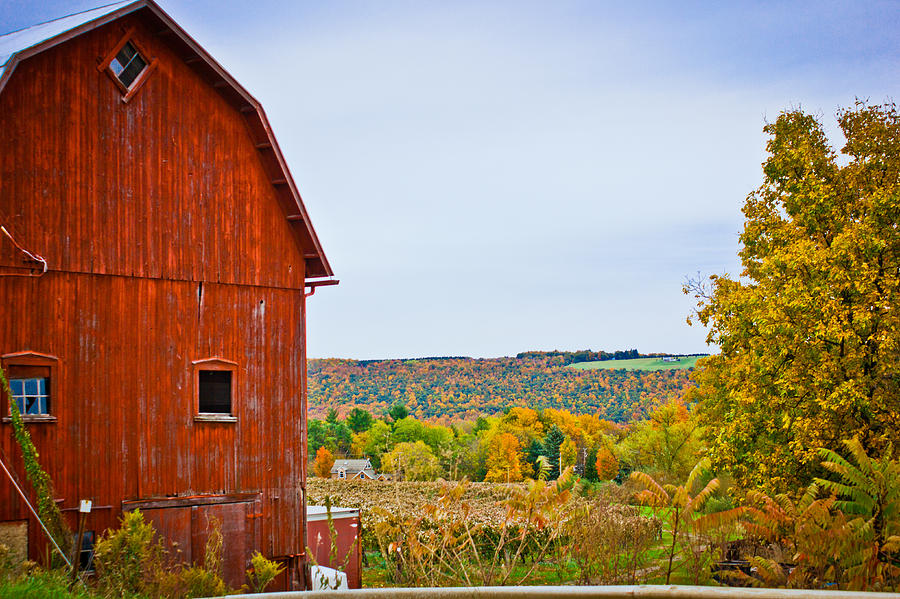 Autumn at the Farm Photograph by Sara Frank