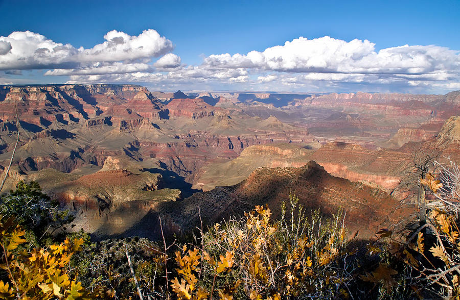 Autumn at the Grand Canyon Photograph by Geraldine Alexander