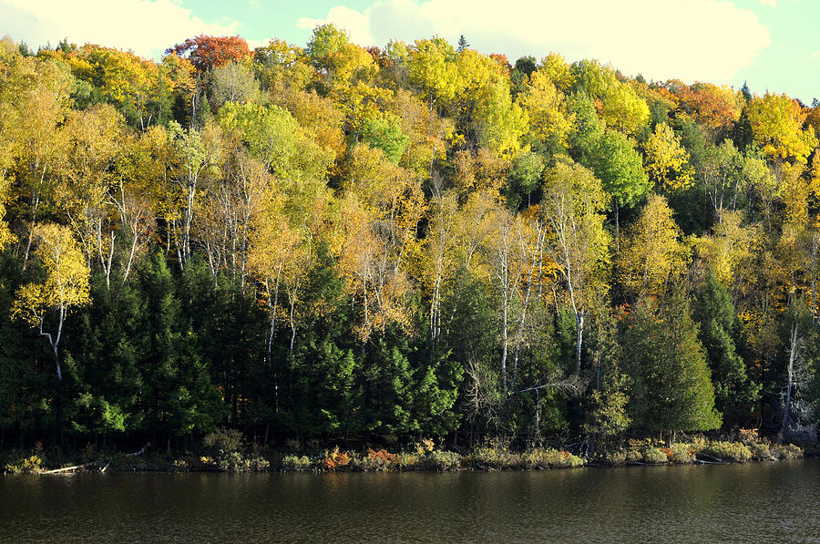 Autumn at the Lake Photograph by Douglas Pike